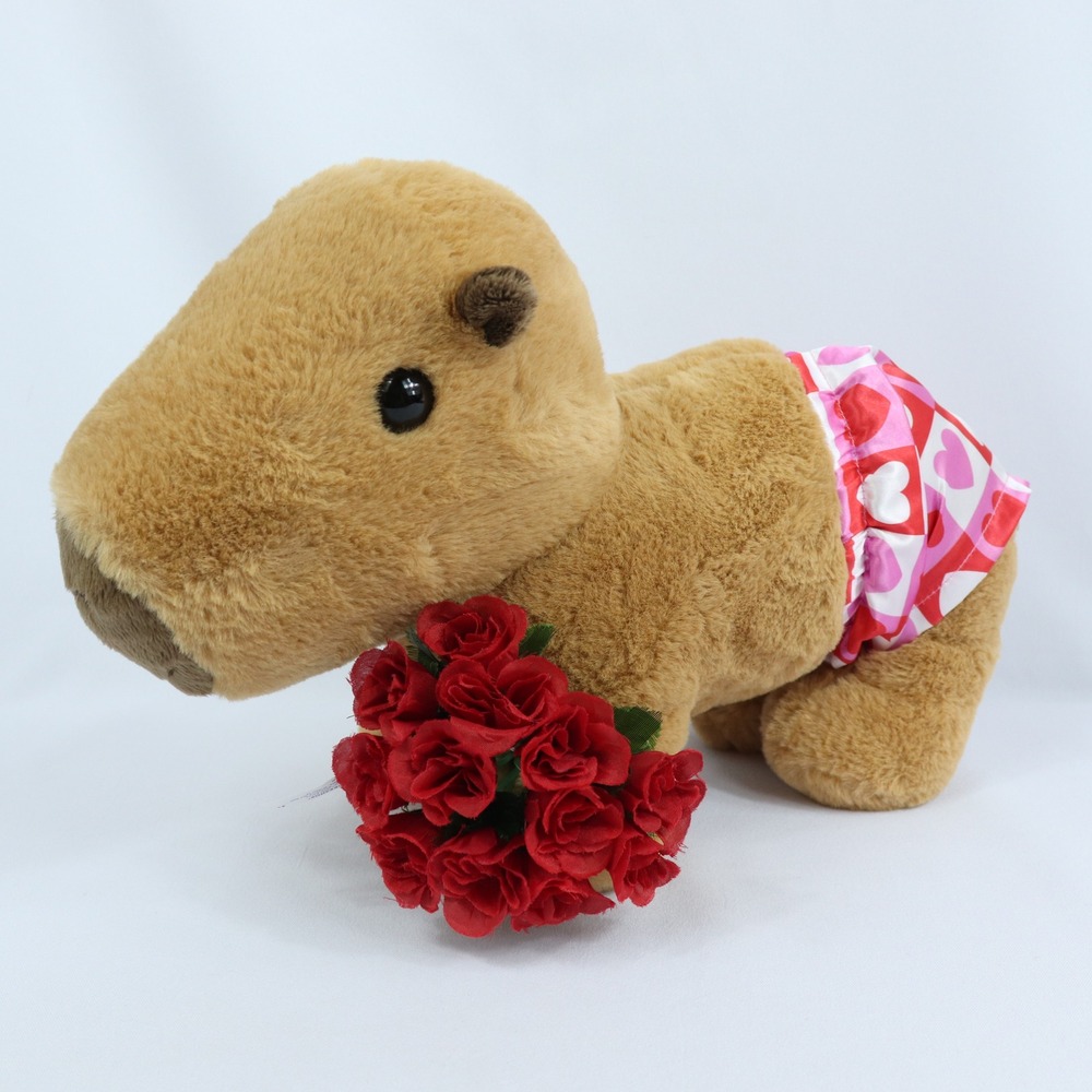 Build-A-Bear Brown Capybara Plush Valentine Heart Shorts & Roses Stuffed‎ Animal
